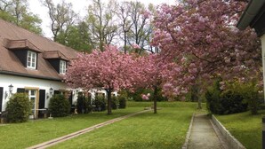 A house with a garden, a pathway, and a tree with pink blossoms. - Churfuerstliche Waldschaenke Moritzburg (Moritzburg)