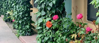 Monterey Oceanside Inn