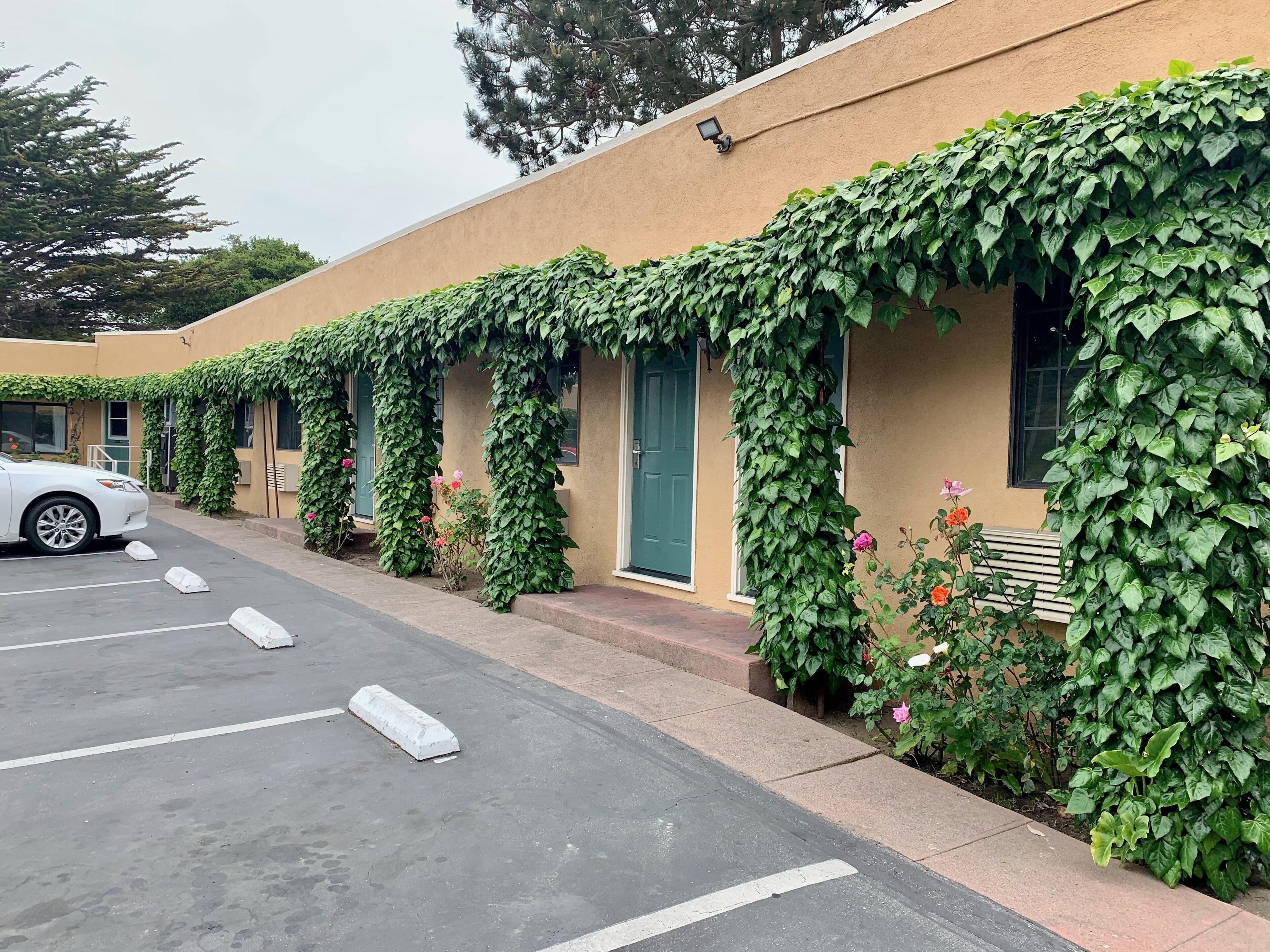 Photo - Monterey Oceanside Inn