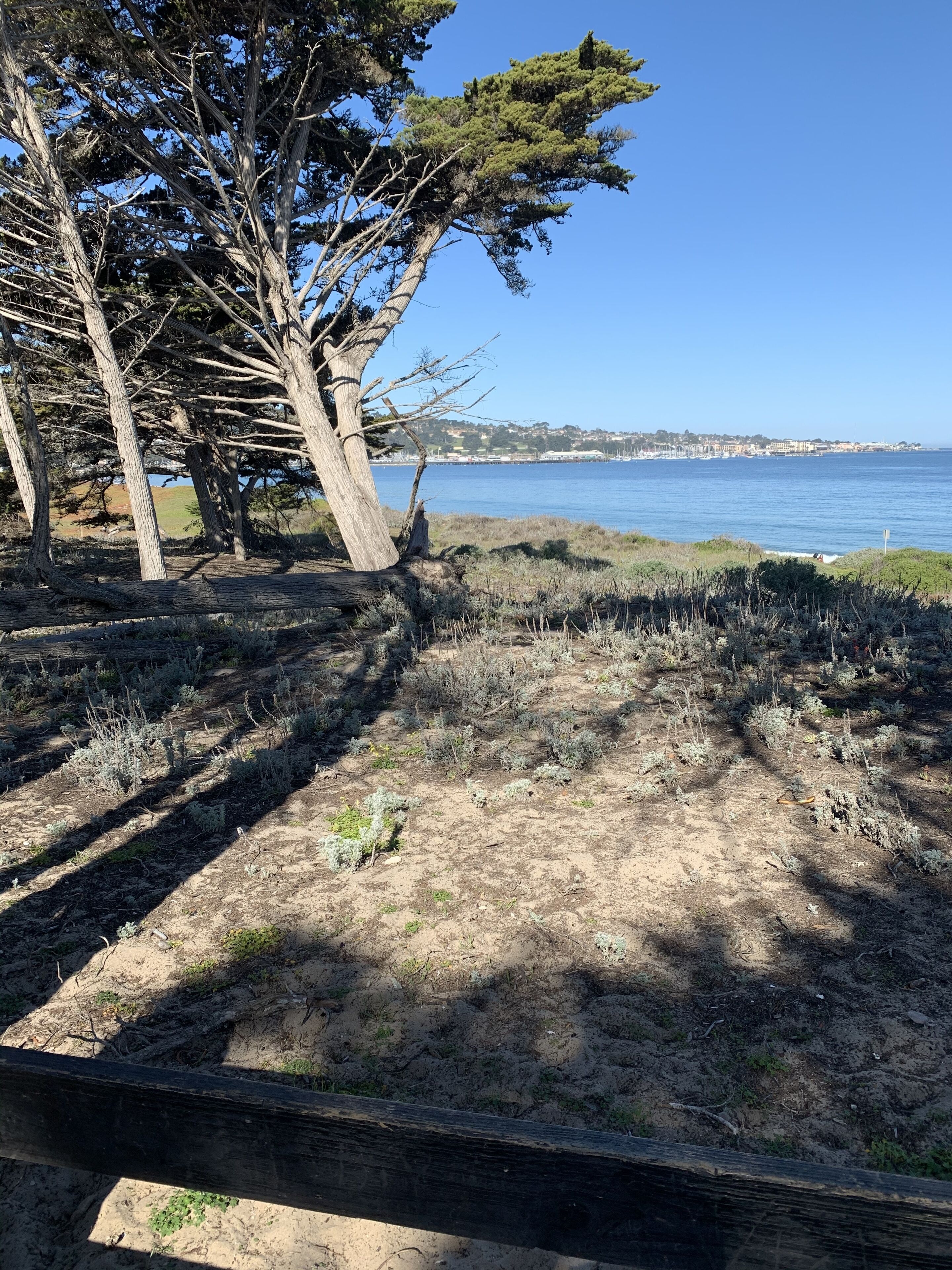 Photo - Monterey Oceanside Inn