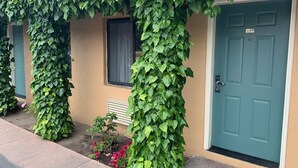 A building with a green door and a window with a curtain.