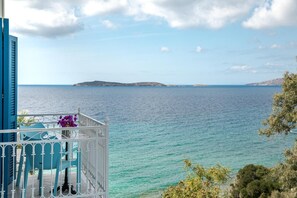 Property grounds - Aneroussa Beach (Andros)