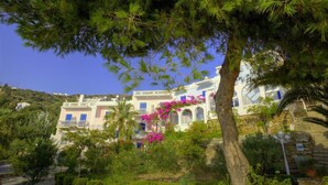 Property grounds - Aneroussa Beach (Andros)