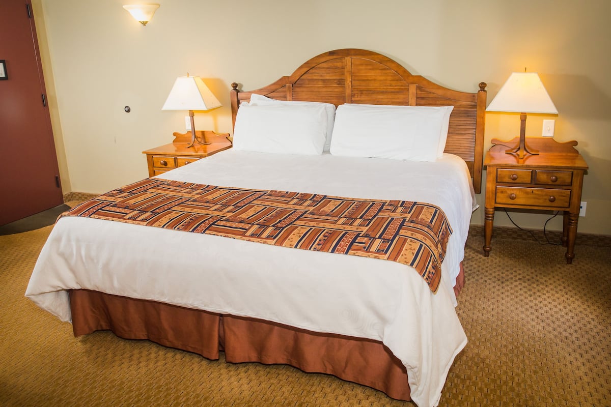 Standard Room, 1 King Bed | Premium bedding, desk, blackout drapes, iron/ironing board