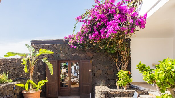 Entrada com muro de pedra, porta de madeira, plantas em vasos e vista do interior.