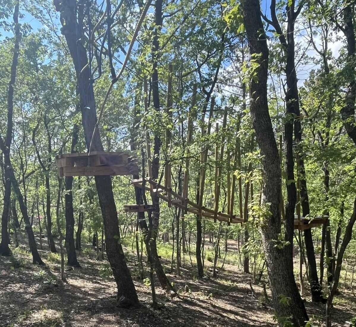 Photo - Park hotel Bellevue