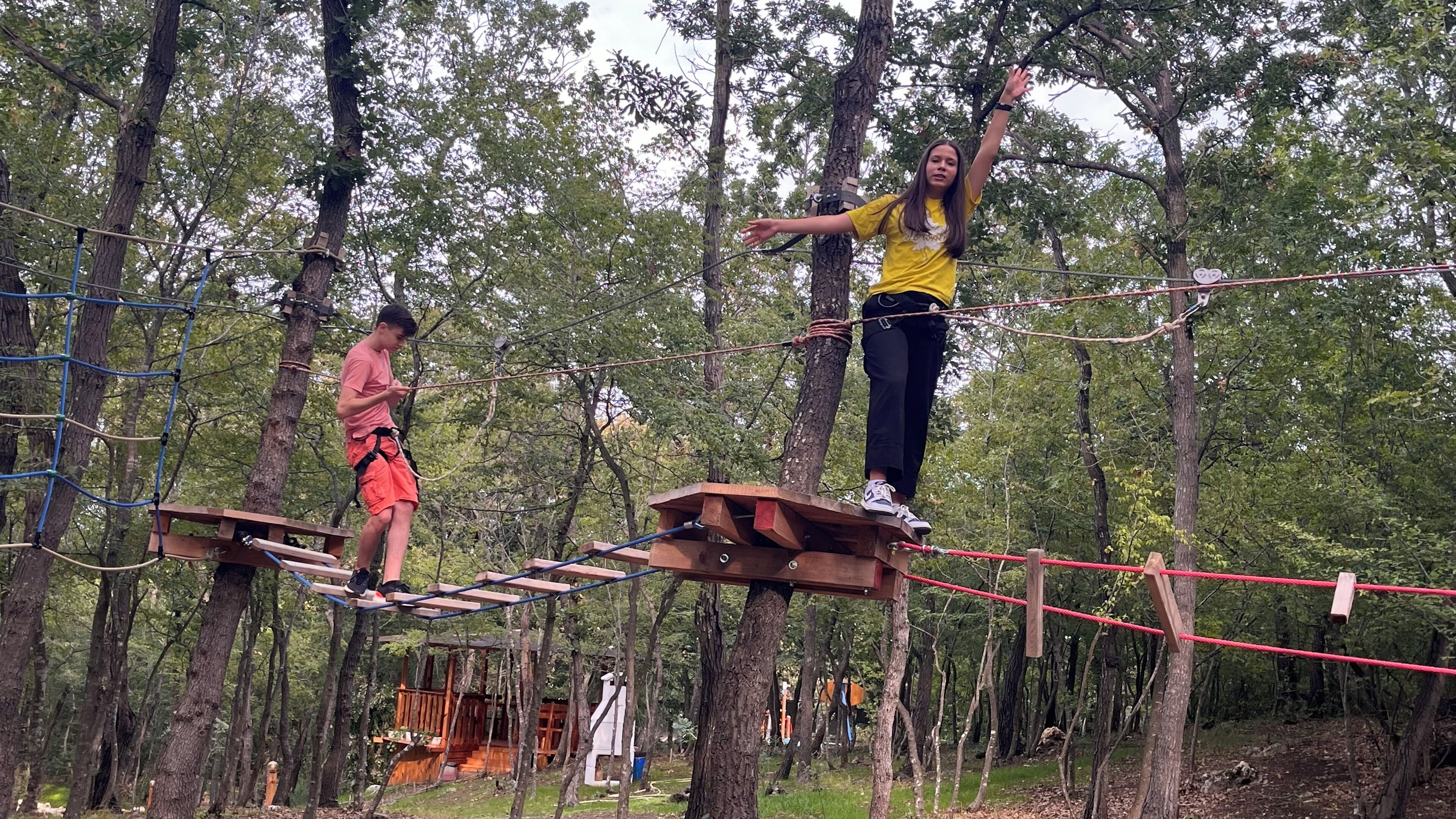 Photo - Park hotel Bellevue