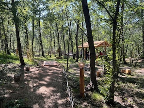 Zona boscosa con una estructura de madera, posiblemente un pabellón, y un sendero de tierra que serpentea entre los árboles.