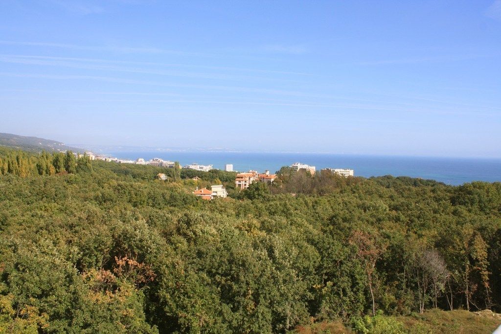 Photo - Park hotel Bellevue