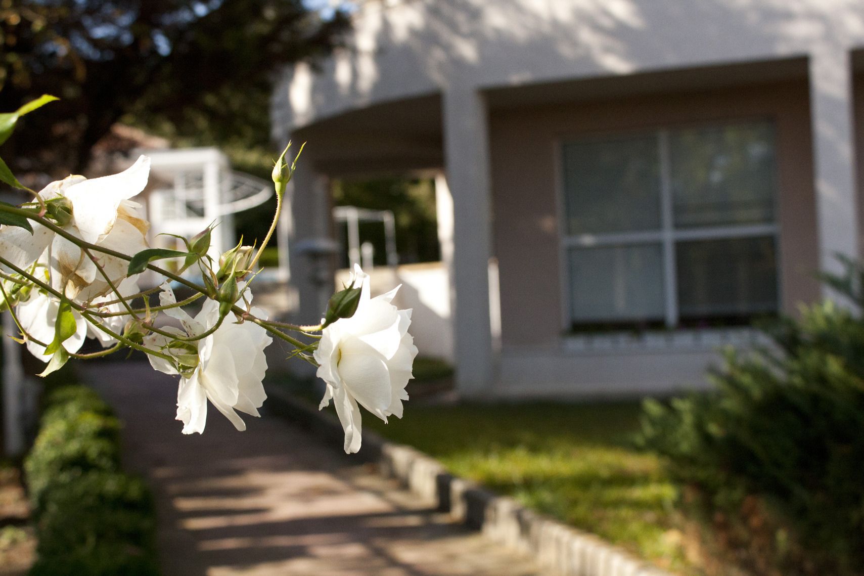 Photo - Park hotel Bellevue