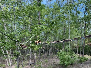 A forested area with wooden structures, possibly a nature trail or park.