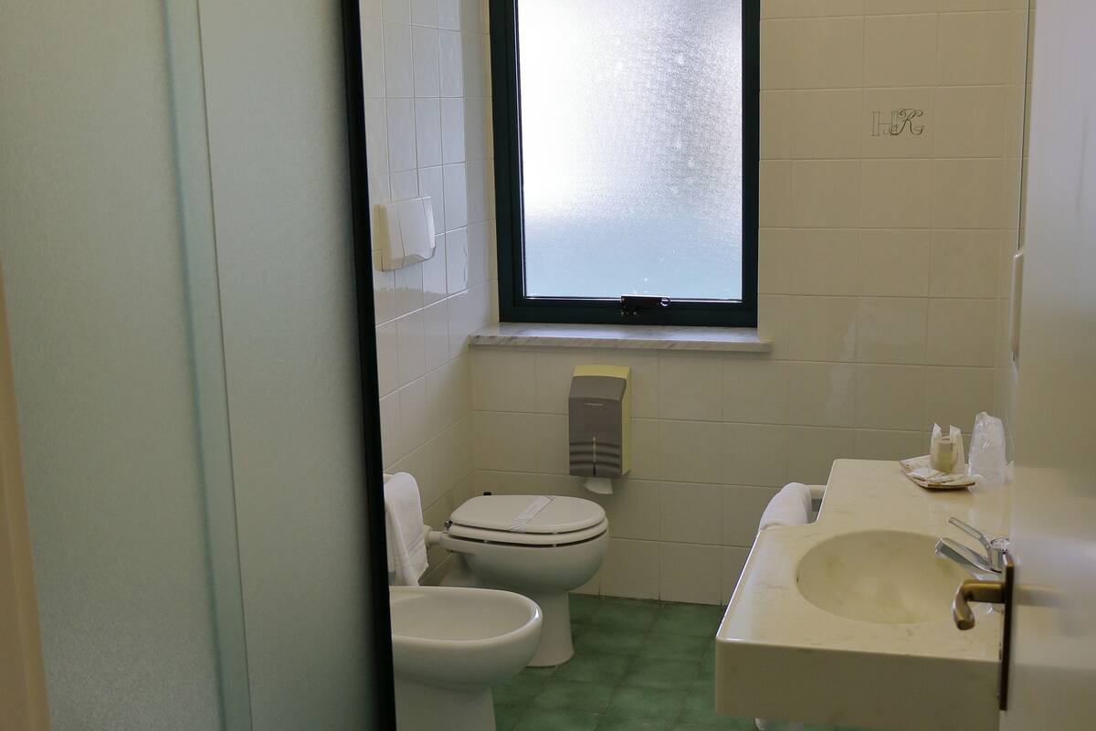 shower, free toiletries, hair dryer, bidet