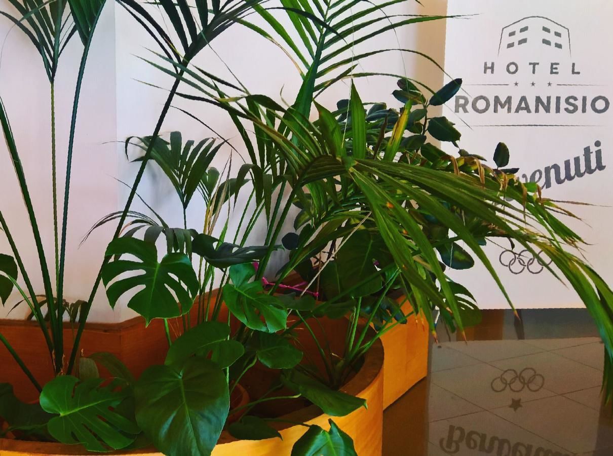 A potted plant with broad leaves in front of a sign for Hotel Romanianio.
