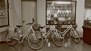 Bicycling - Hotel Romanisio (Fossano)