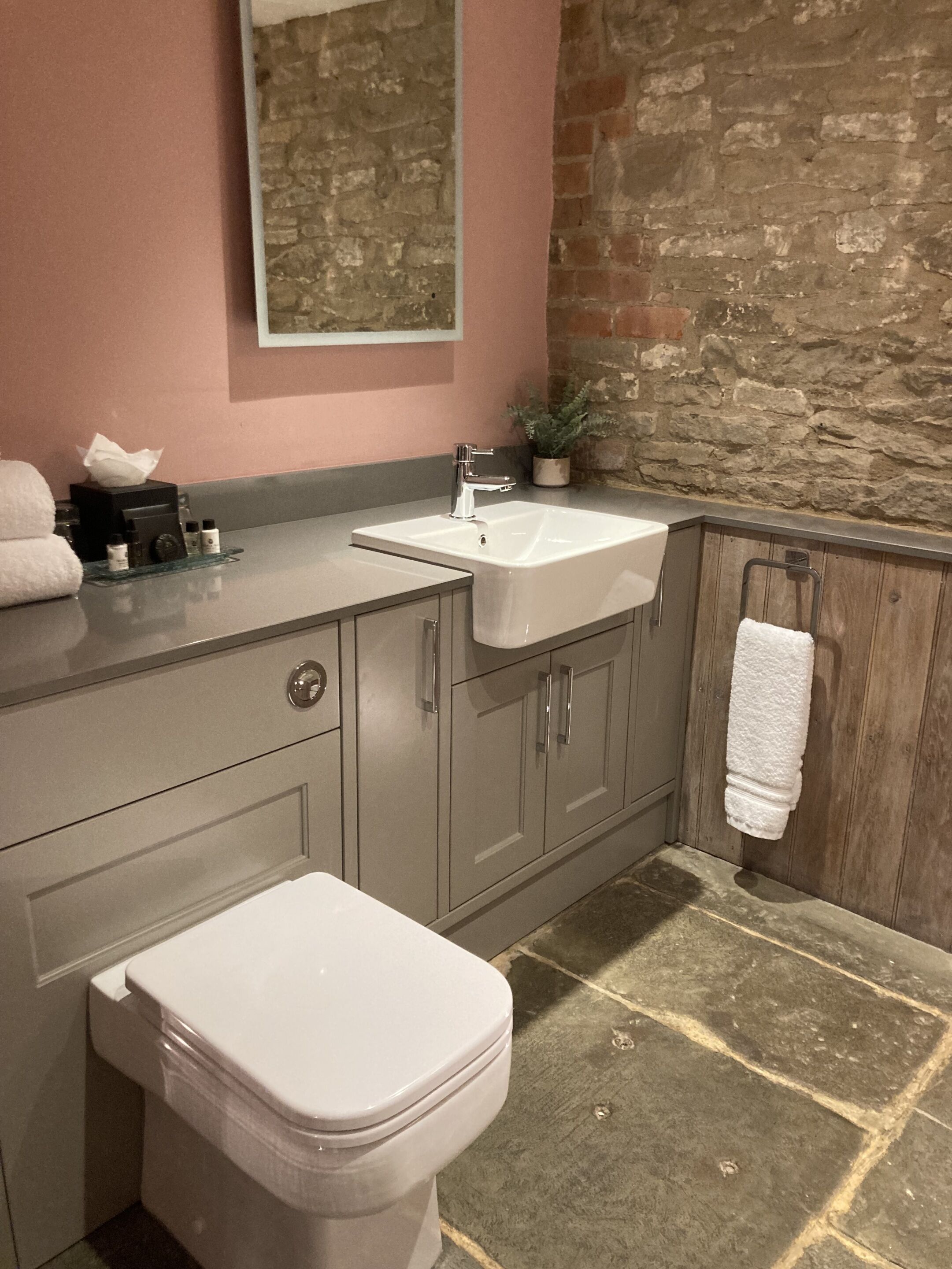 A bathroom with a toilet, a sink, and a mirror.