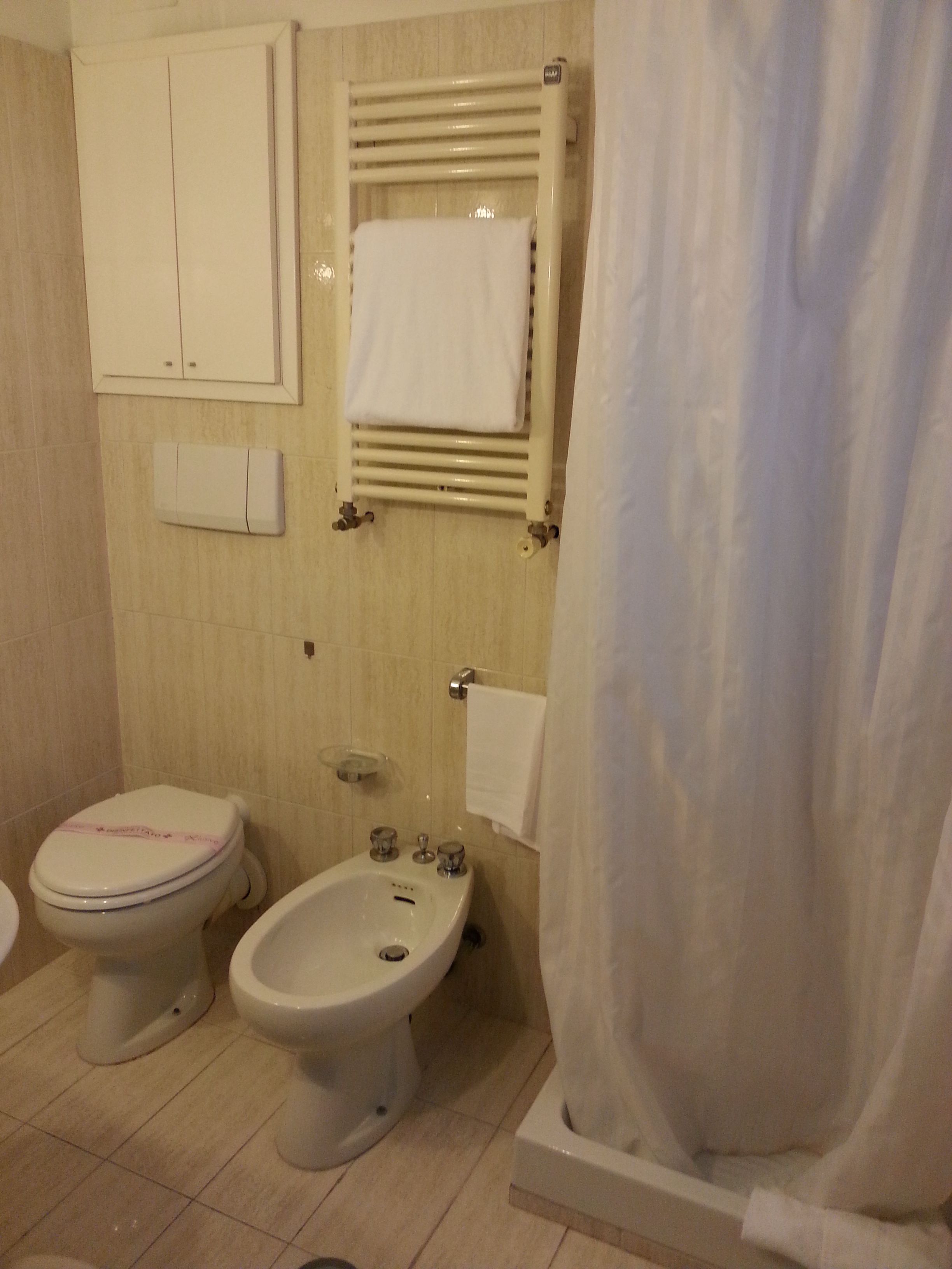 Une salle de bain équipée de toilettes, d’un bidet et d’un rideau de douche.