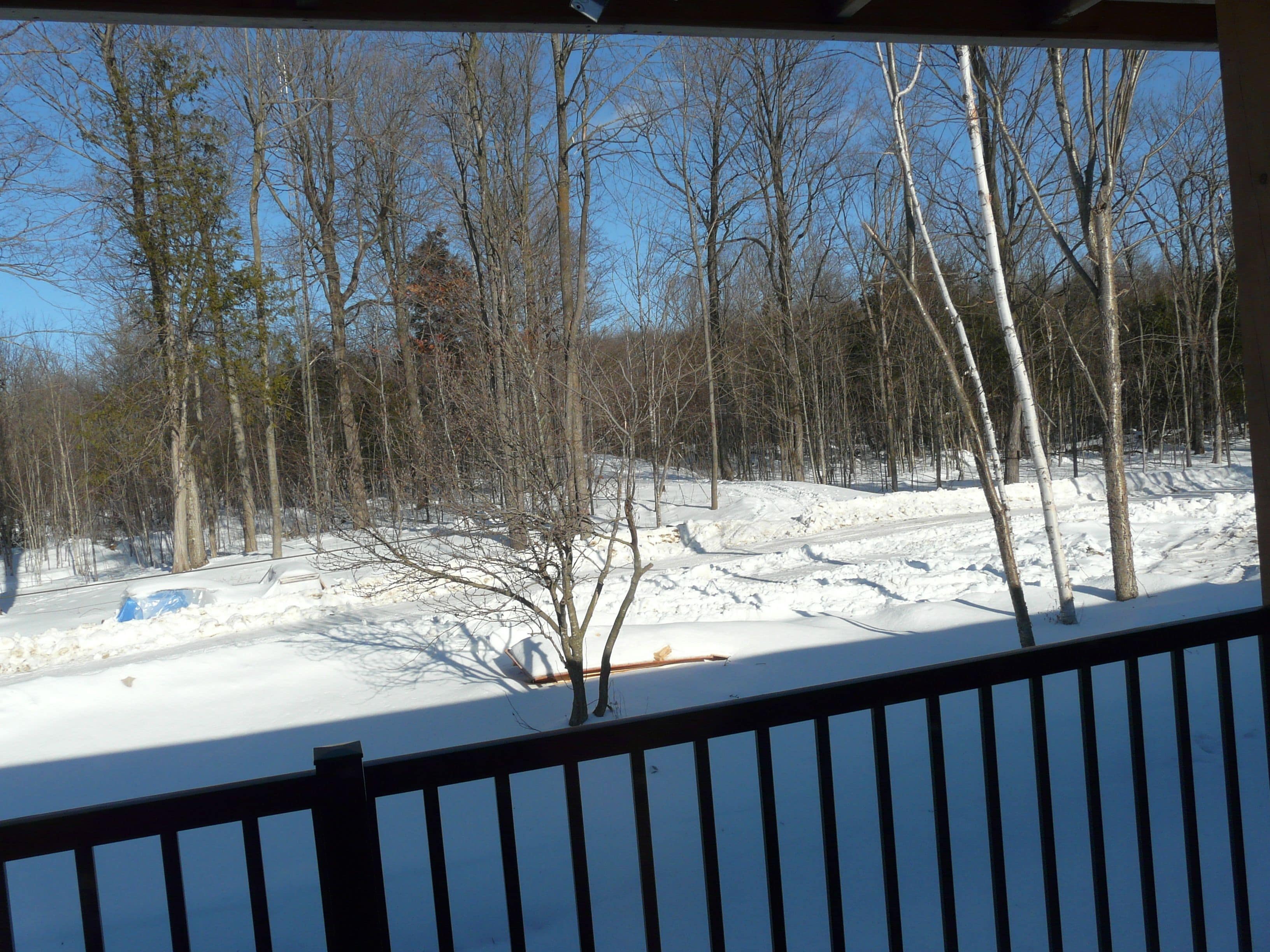 A snowy landscape with bare trees and a clear sky.