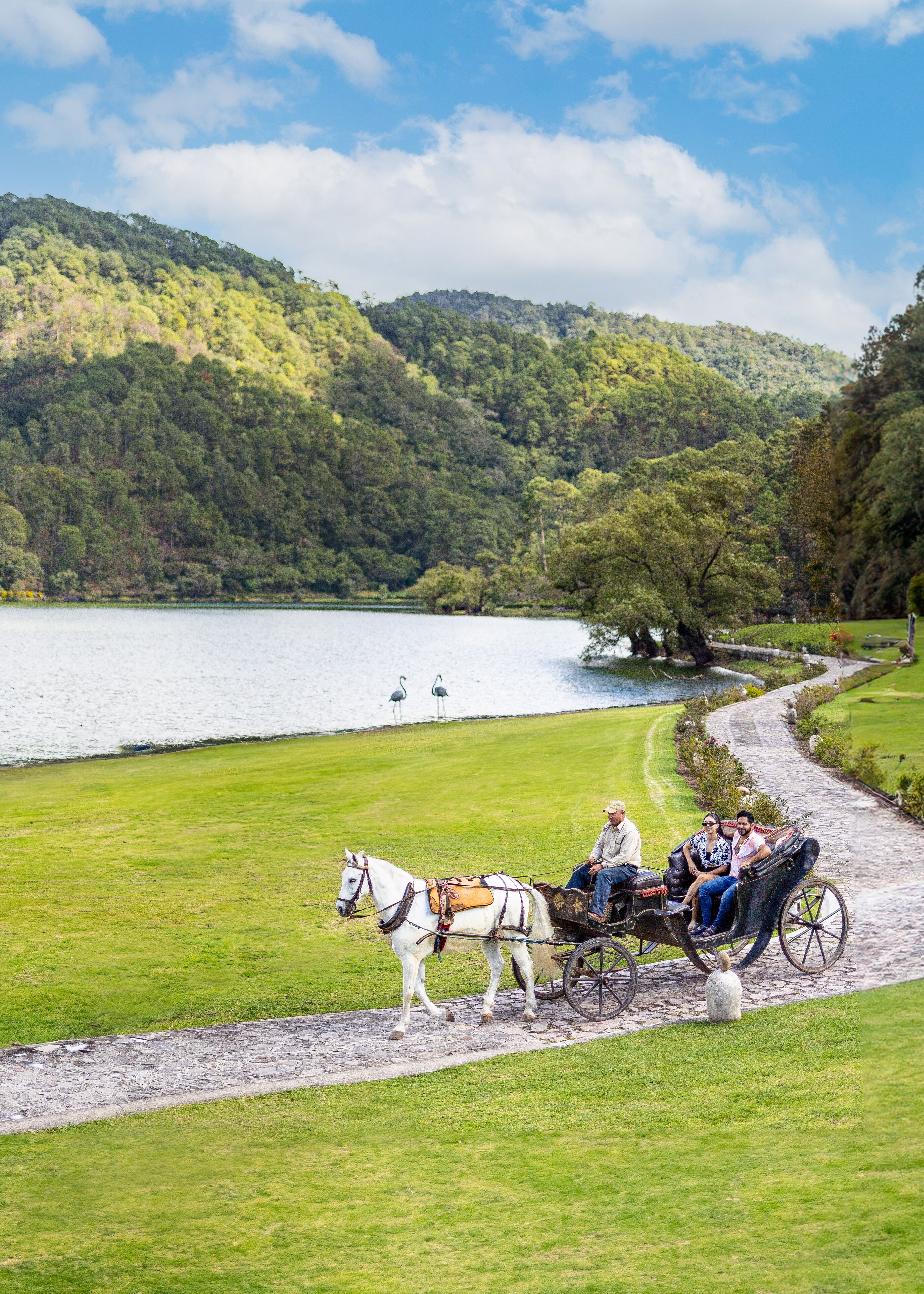 Un carruaje tirado por caballos en un sendero cubierto de césped junto a un lago, con una colina boscosa al fondo.