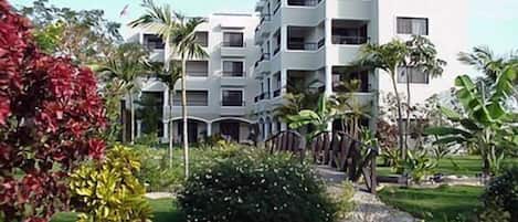 Vista para o jardim