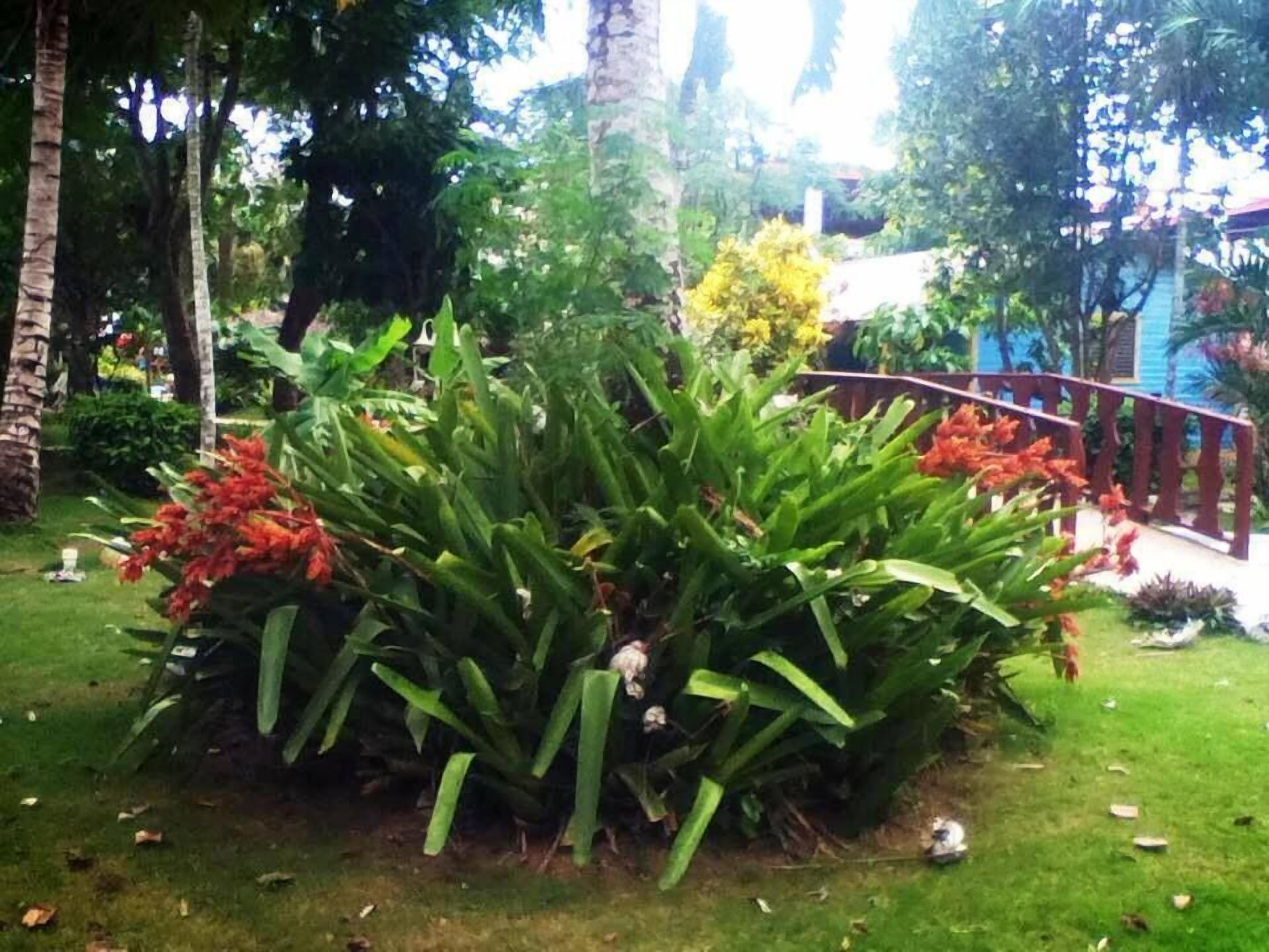 Ein Garten mit verschiedenen Pflanzen und einem Holzzaun.