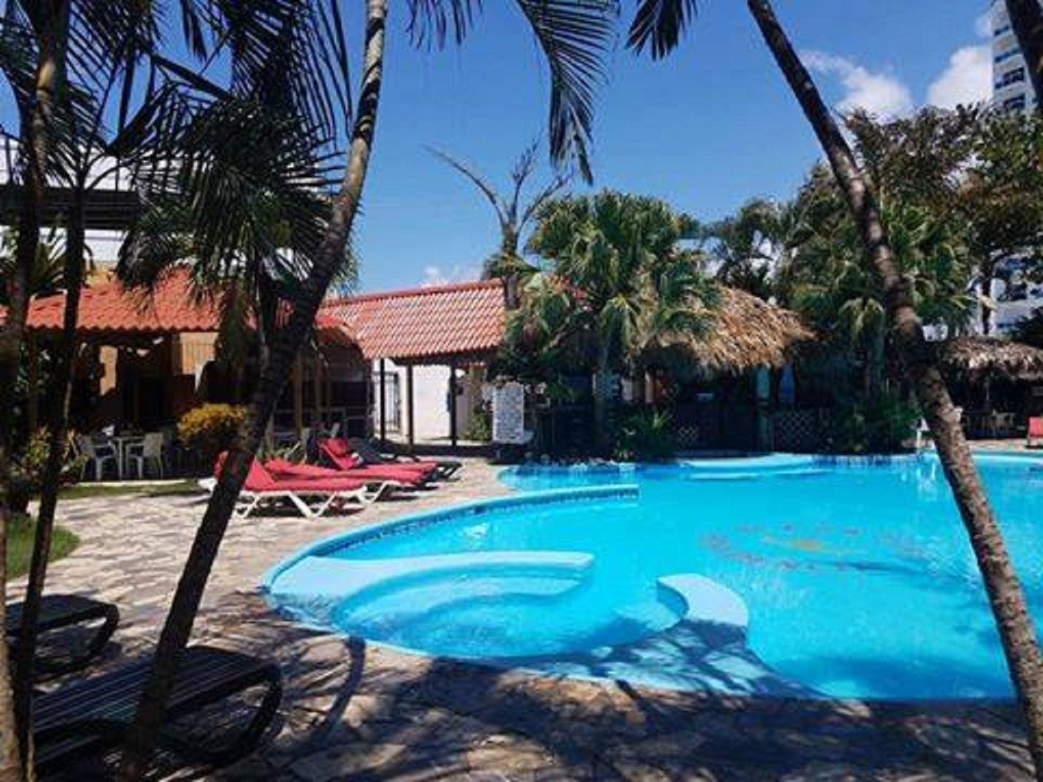 A swimming pool surrounded by palm trees and lounge chairs.