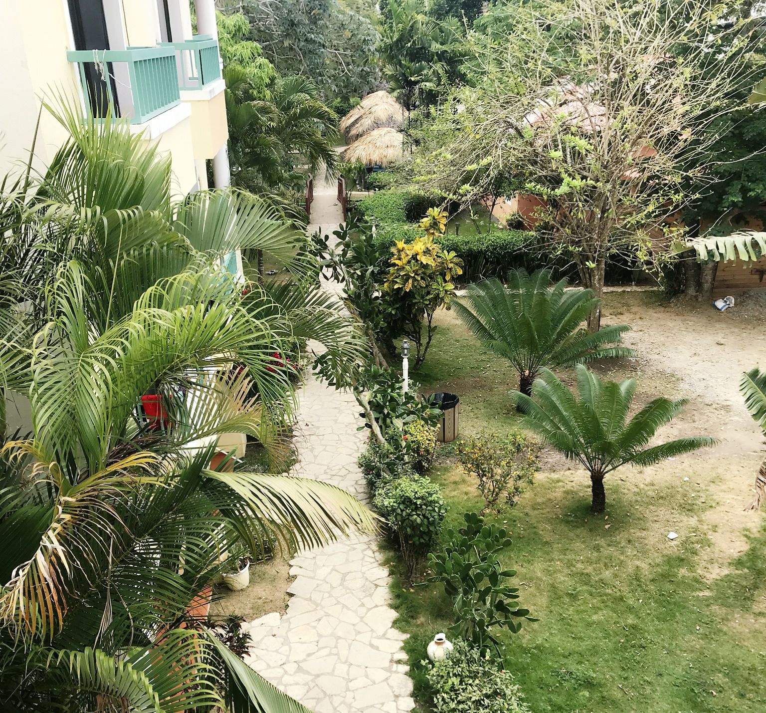 A courtyard with a stone pathway, surrounded by various plants and trees, leading to a building with a blue balcony.