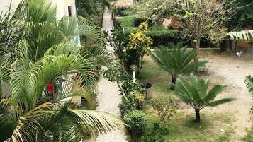 A courtyard with a stone pathway, surrounded by various plants and trees, leading to a building with a blue balcony.