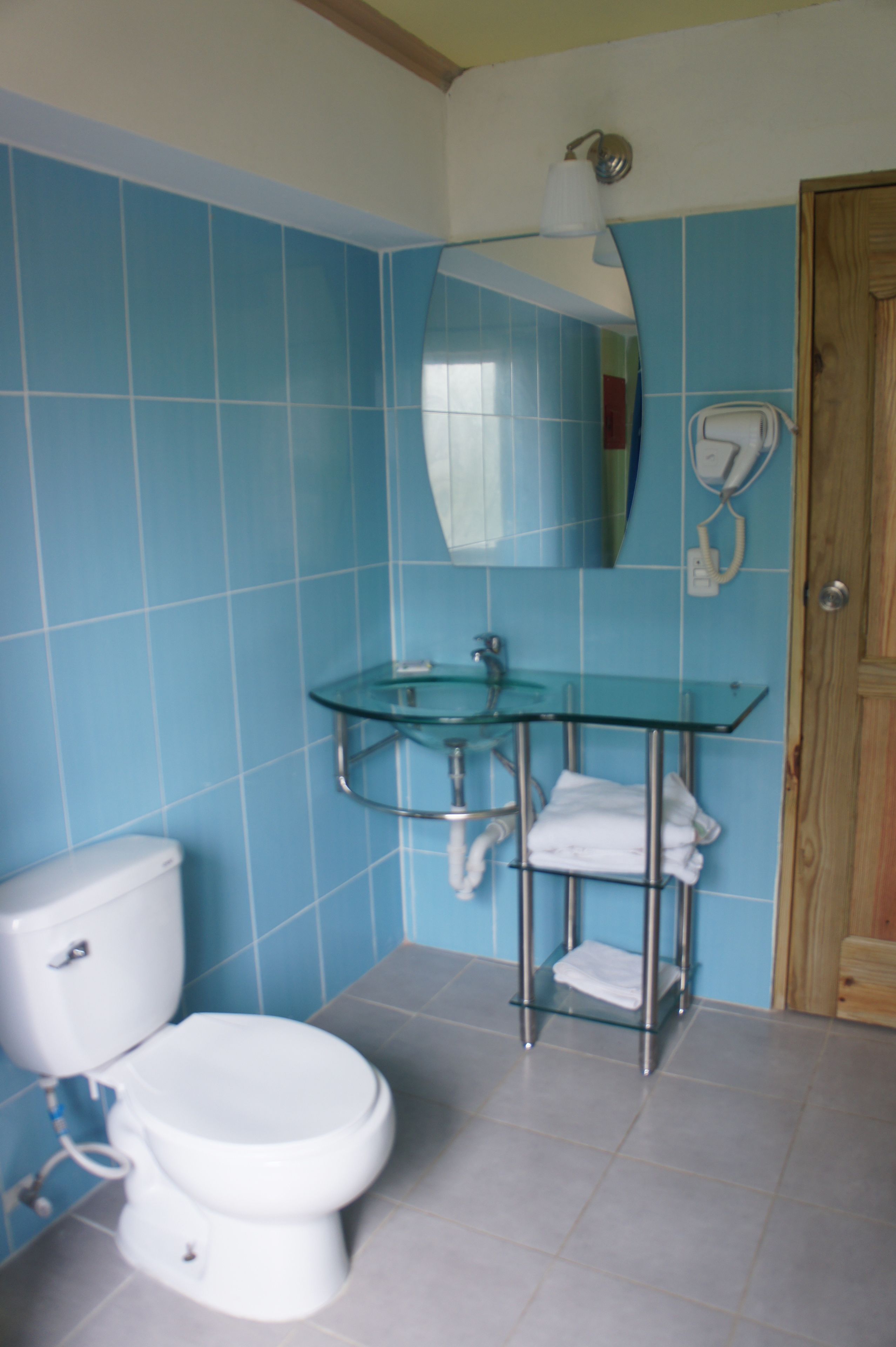 A bathroom with a toilet, a glass sink, and a mirror.