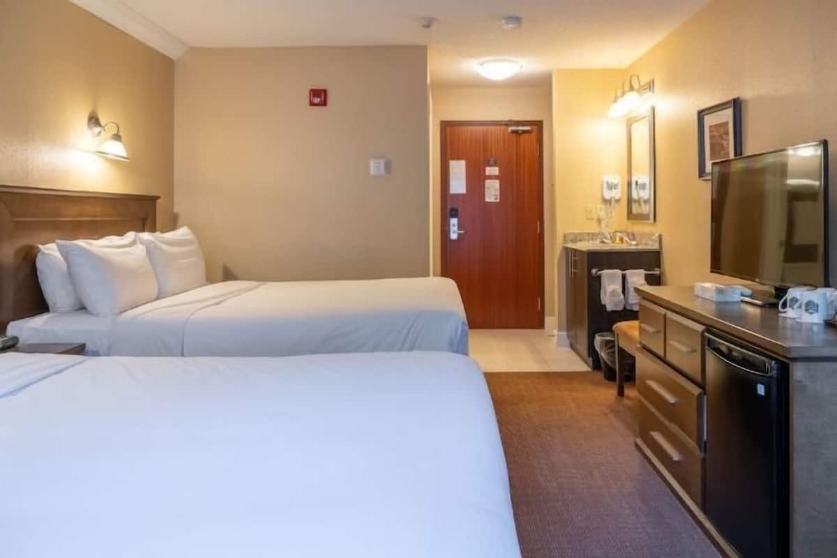 Hypo-allergenic bedding, free WiFi, bed sheets