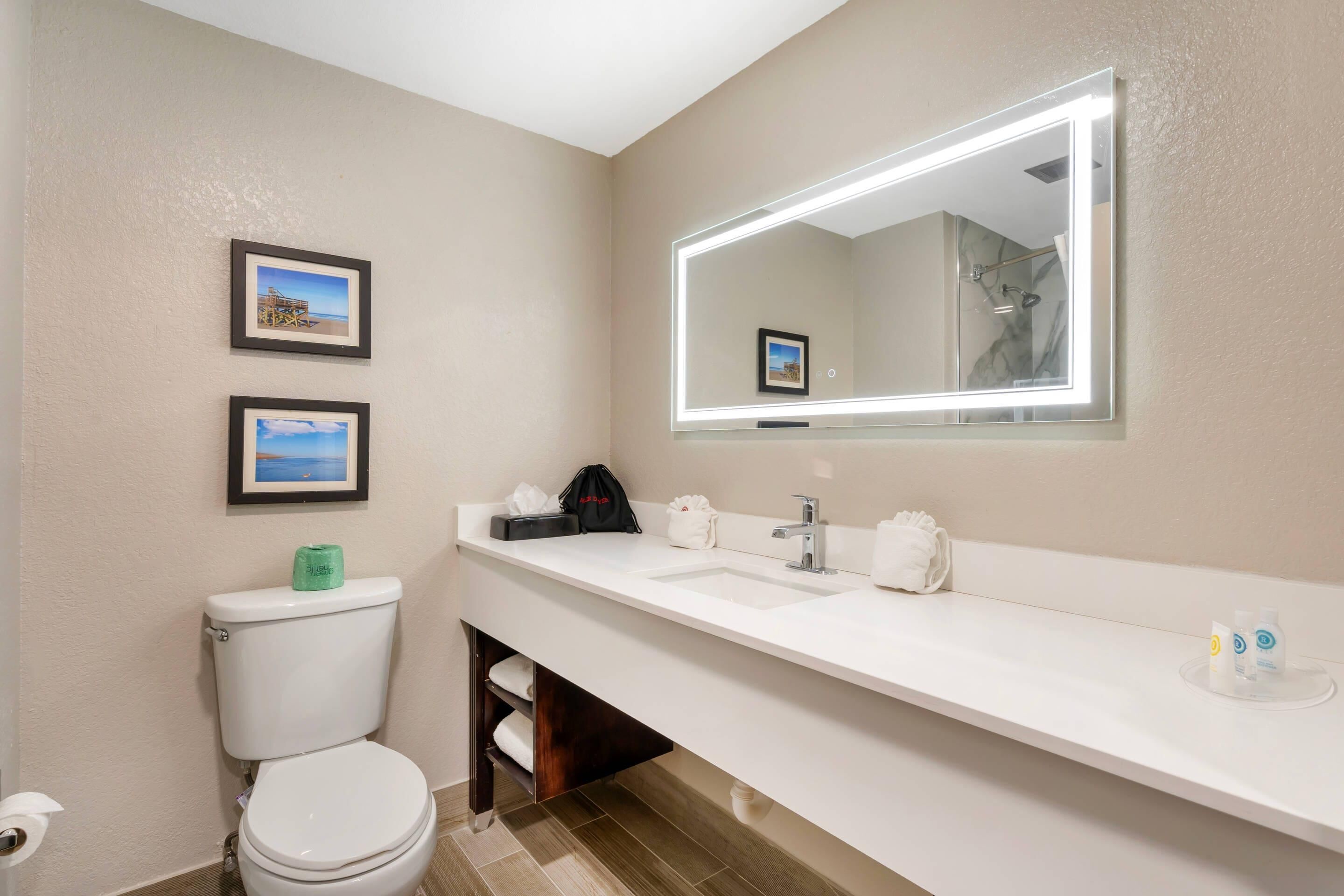 Suite, 1 King Bed, Accessible, Non Smoking | Premium bedding, desk, laptop workspace, blackout drapes