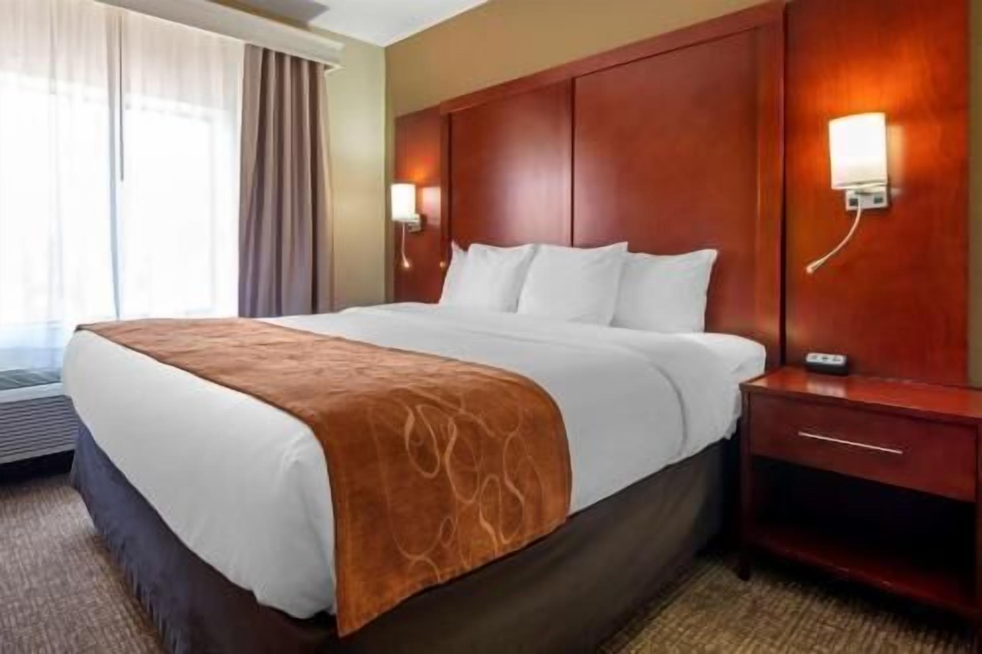 Premium bedding, desk, laptop workspace, blackout drapes