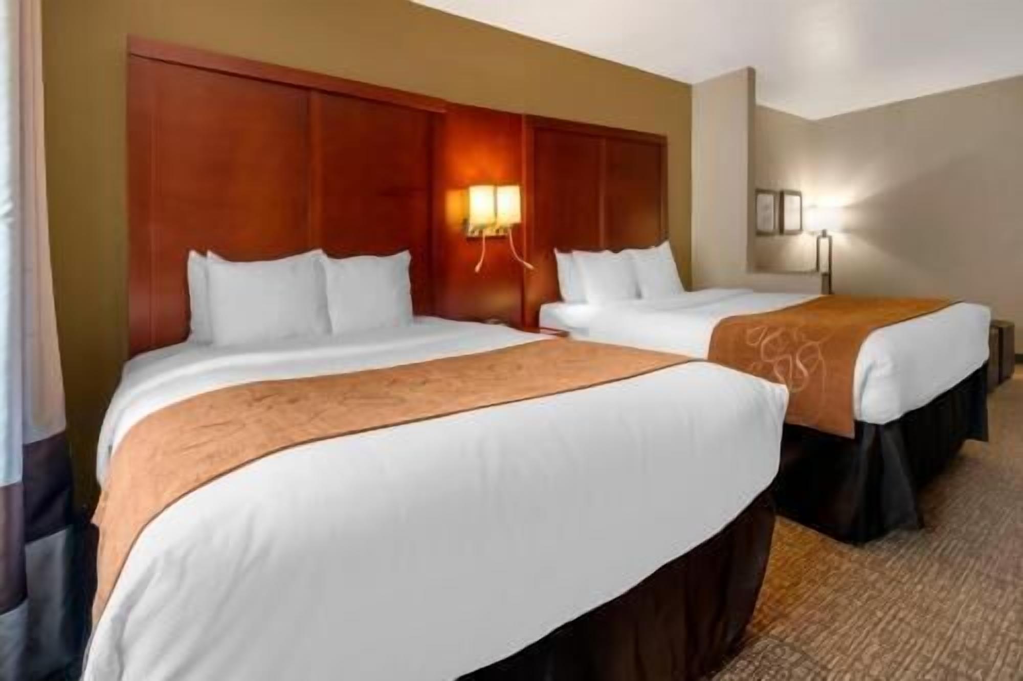 Premium bedding, desk, laptop workspace, blackout drapes