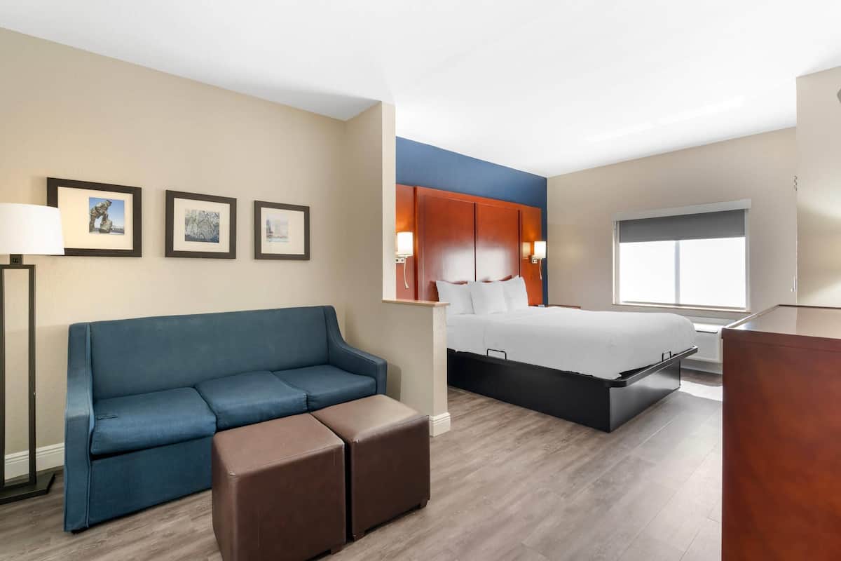 Suite, 1 King Bed, Accessible, Non Smoking | Premium bedding, desk, laptop workspace, blackout drapes