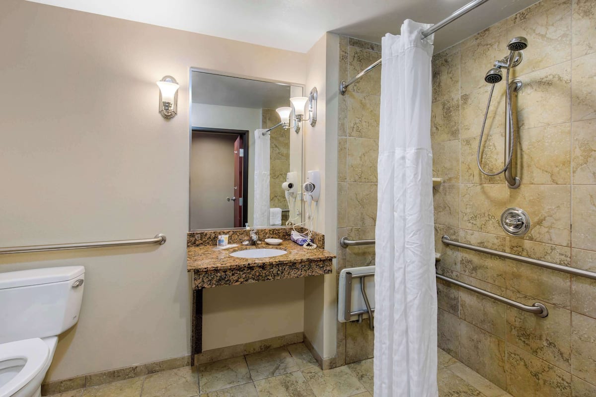 A bathroom with a toilet, sink, mirror, shower, and grab bars.
