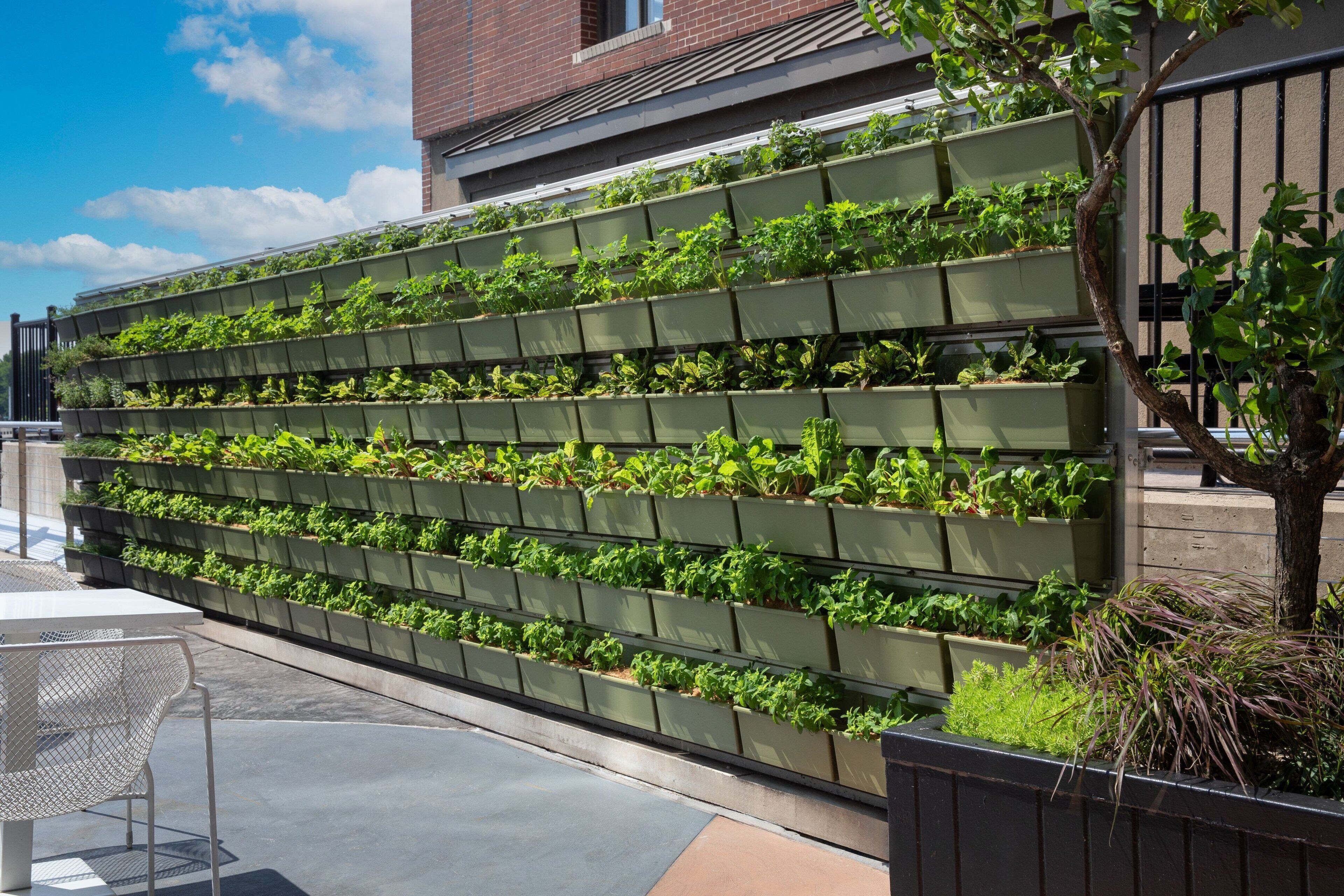 Un mur végétal vertical orné de différentes plantes, une chaise en métal et un bâtiment en arrière-plan.