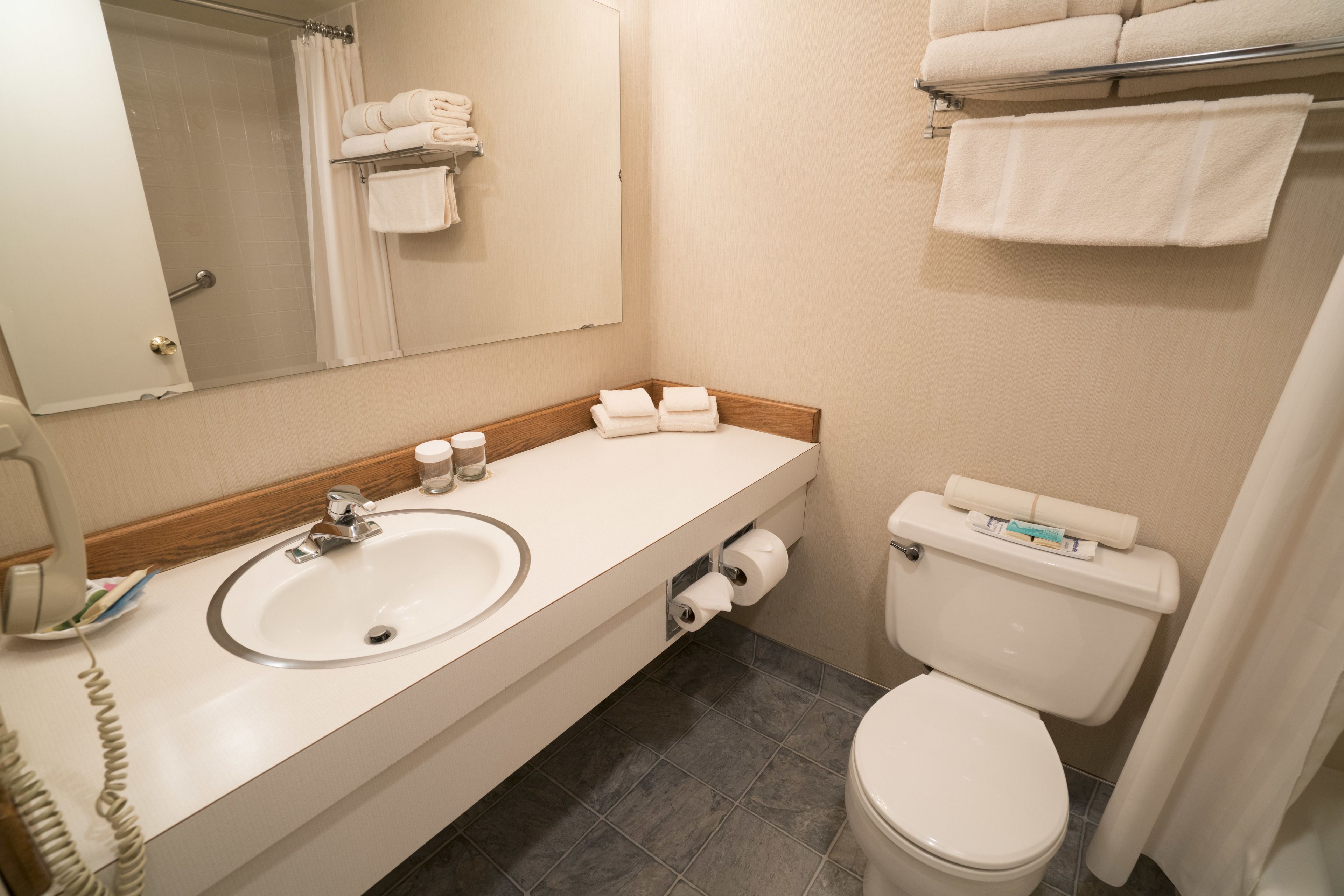A bathroom with a sink, mirror, toilet, and towel rack.
