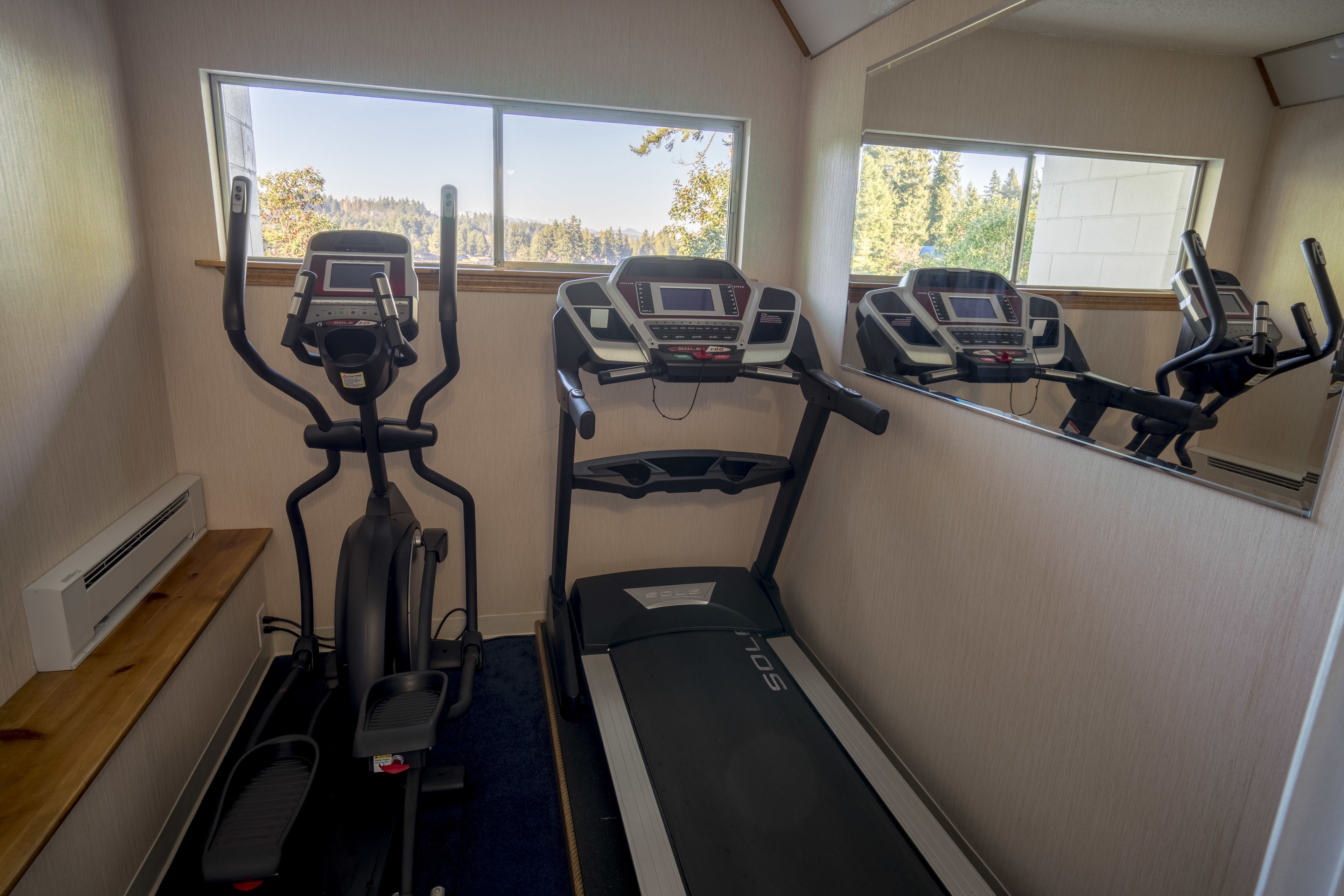 Gimnasio