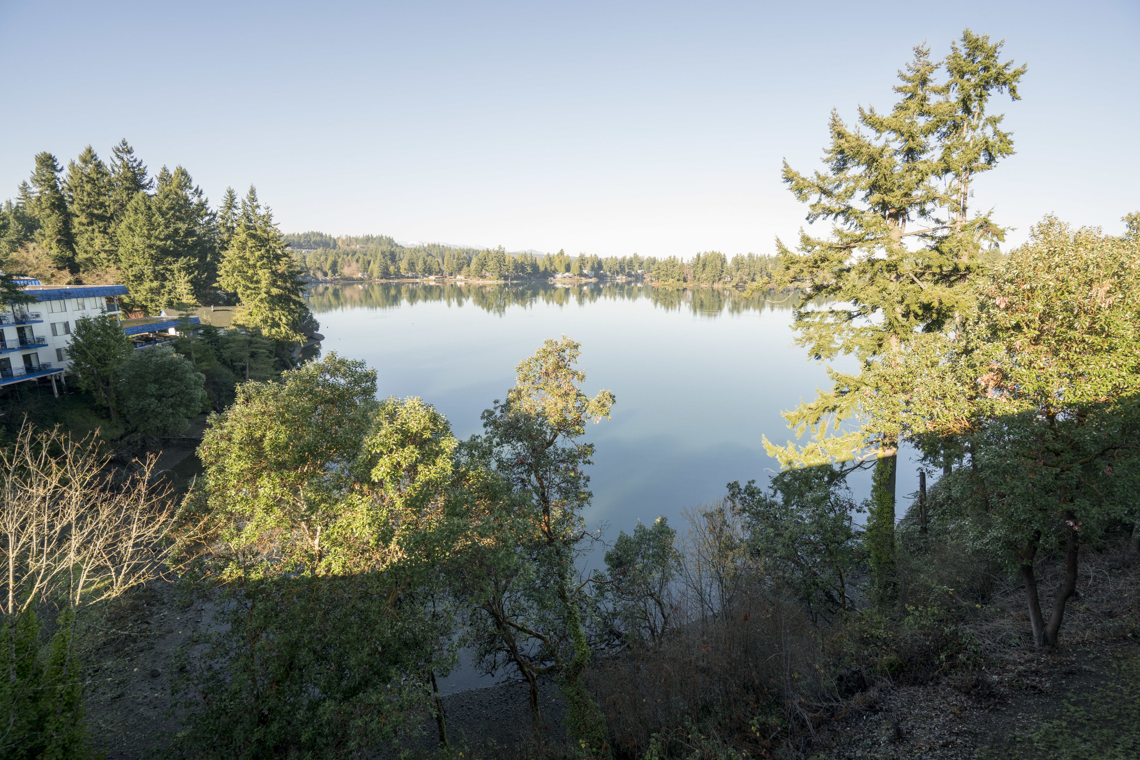 A lake surrounded by trees and a building with a blue roof.