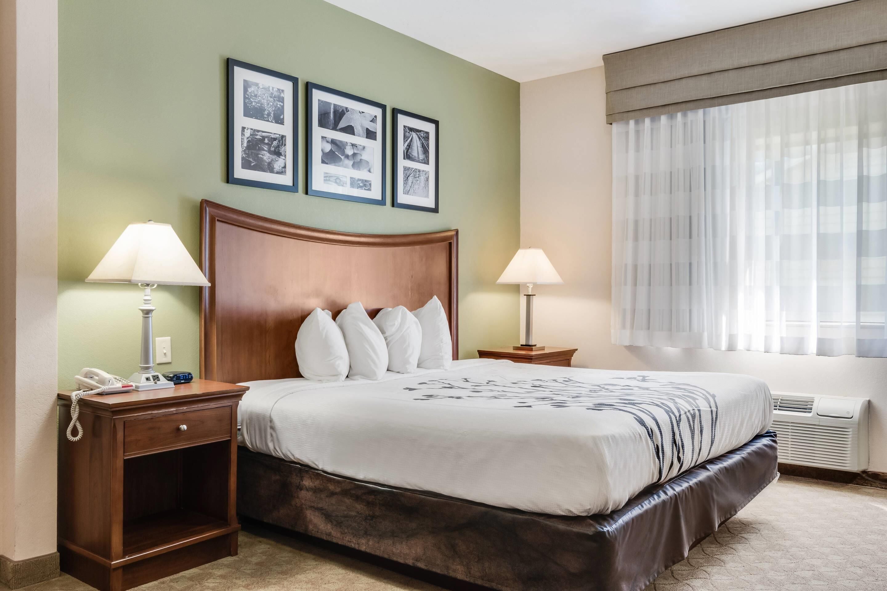 room, 1 king bed, accessible, non smoking (roll-in shower) | desk, iron/ironing board, free cots/infant beds, free wifi