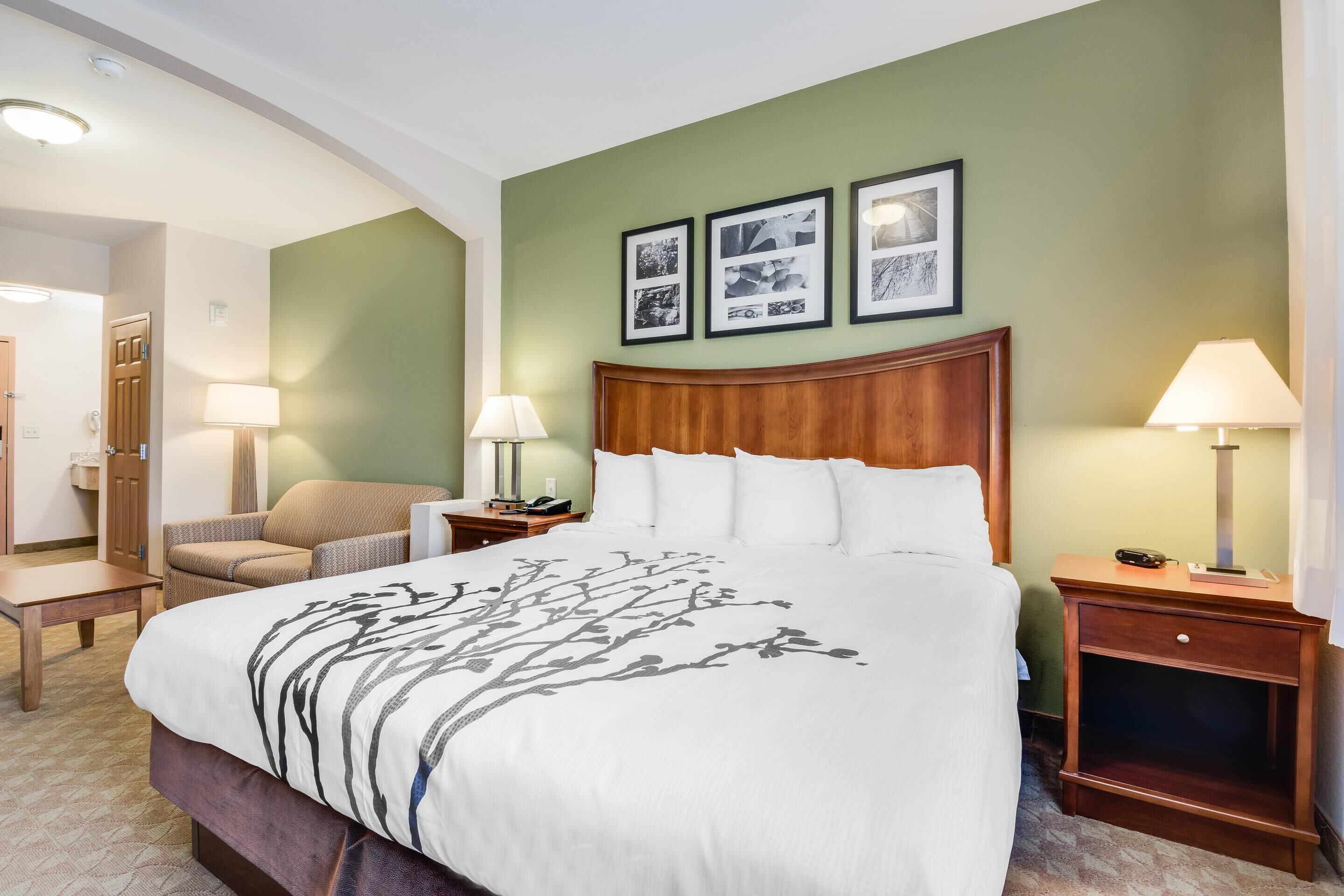 Desk, iron/ironing board, free cribs/infant beds, free WiFi