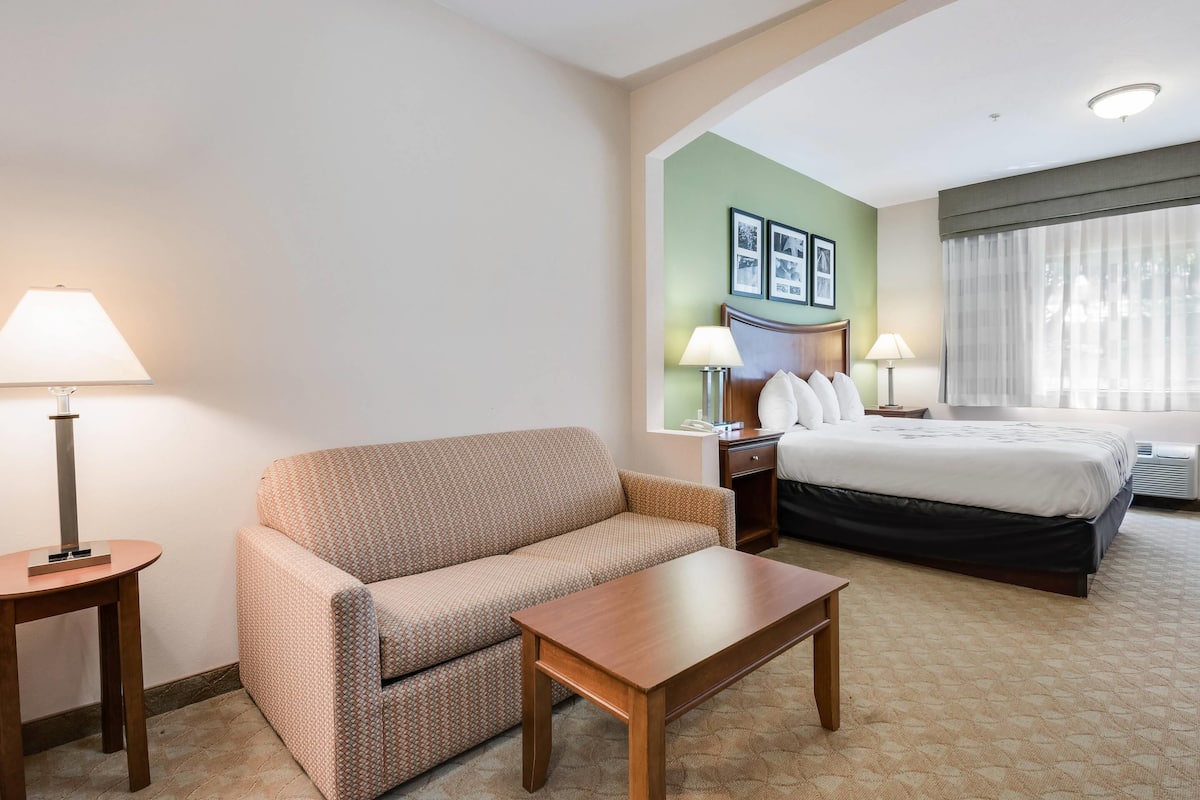 Standard Room, 1 King Bed, Non Smoking | Desk, iron/ironing board, free cribs/infant beds, free WiFi