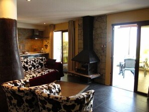 TV, fireplace, DVD player