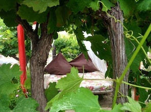 Un espace extérieur aménagé dans un style rustique, avec un banc et des coussins placés sous une pergola couverte de plantes grimpantes.