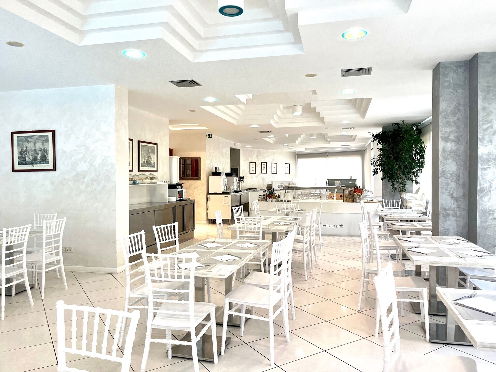 A modern restaurant with white chairs and tables, a kitchen area, and a large potted plant.