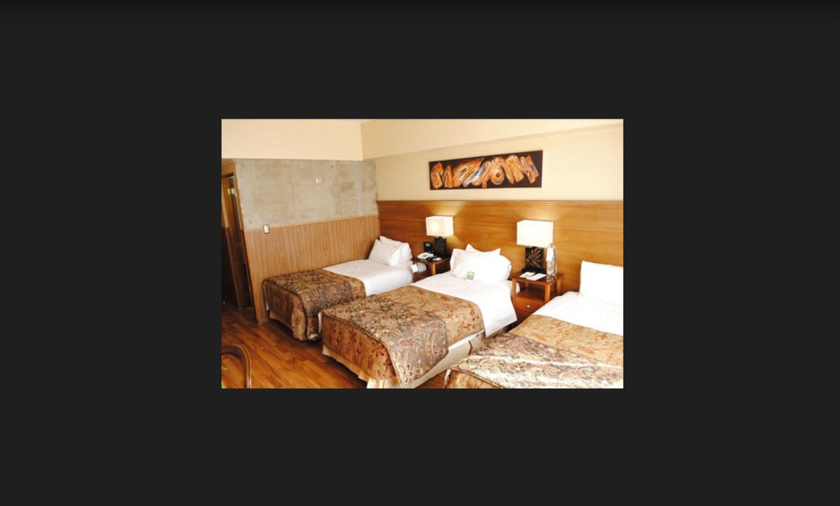 Foto - Hotel Panamericano