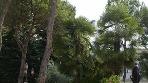 A garden with statues, a fountain, and well-maintained hedges. - Villa Ducale (Dolo)