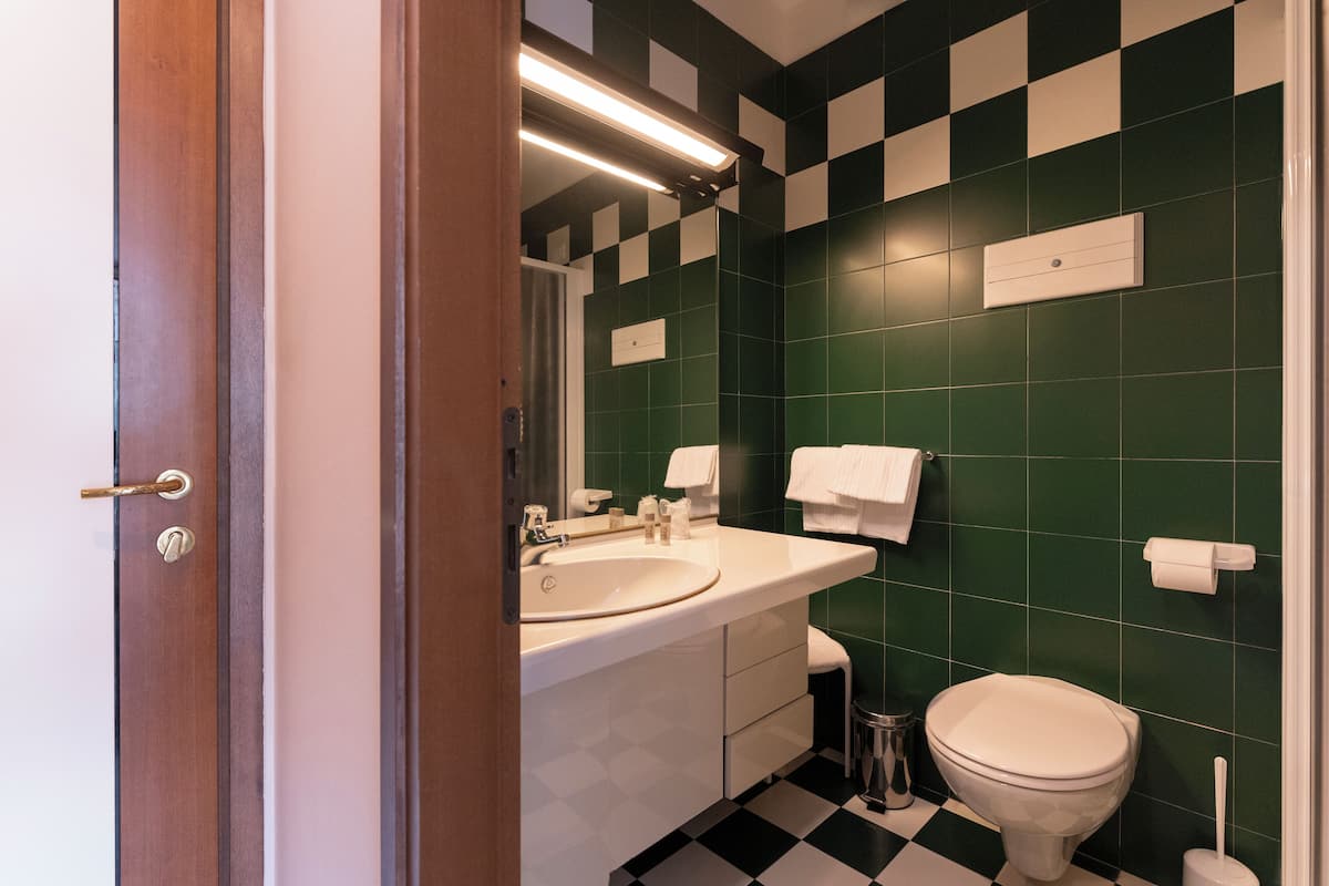 economy room | bathroom | shower, free toiletries, hair dryer, bidet