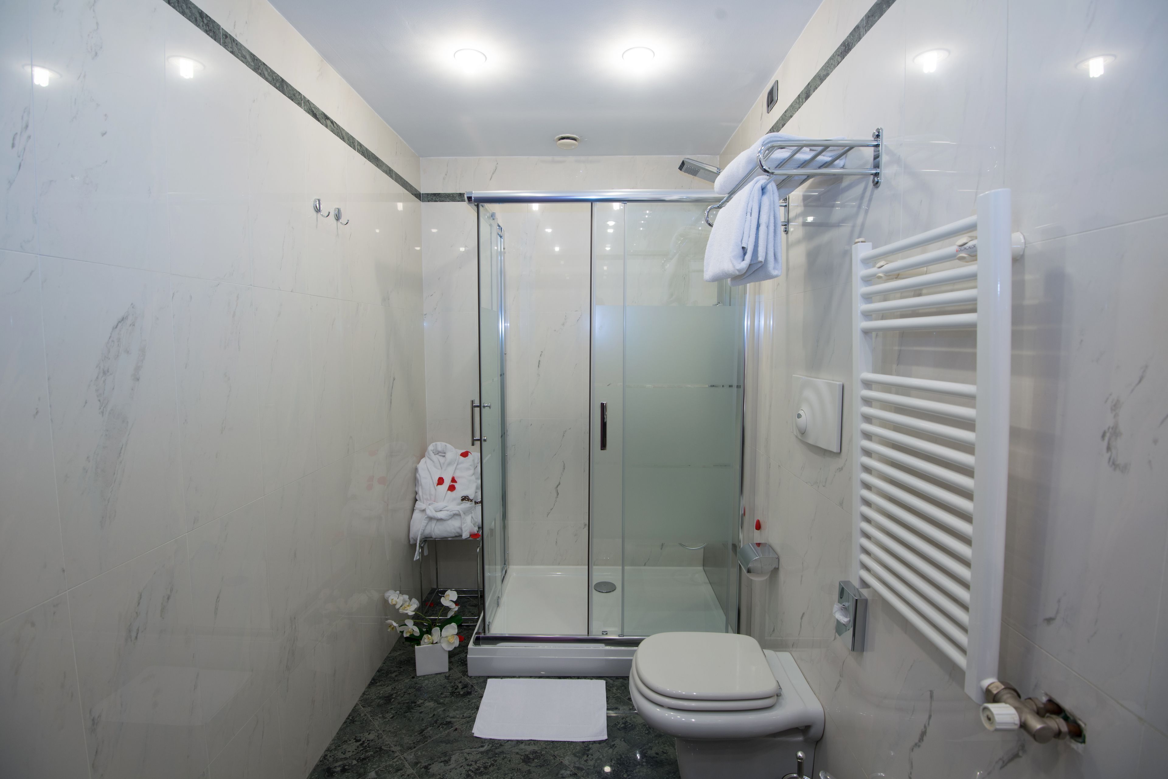 A modern bathroom with a glass-enclosed shower, a toilet, and a towel rack.