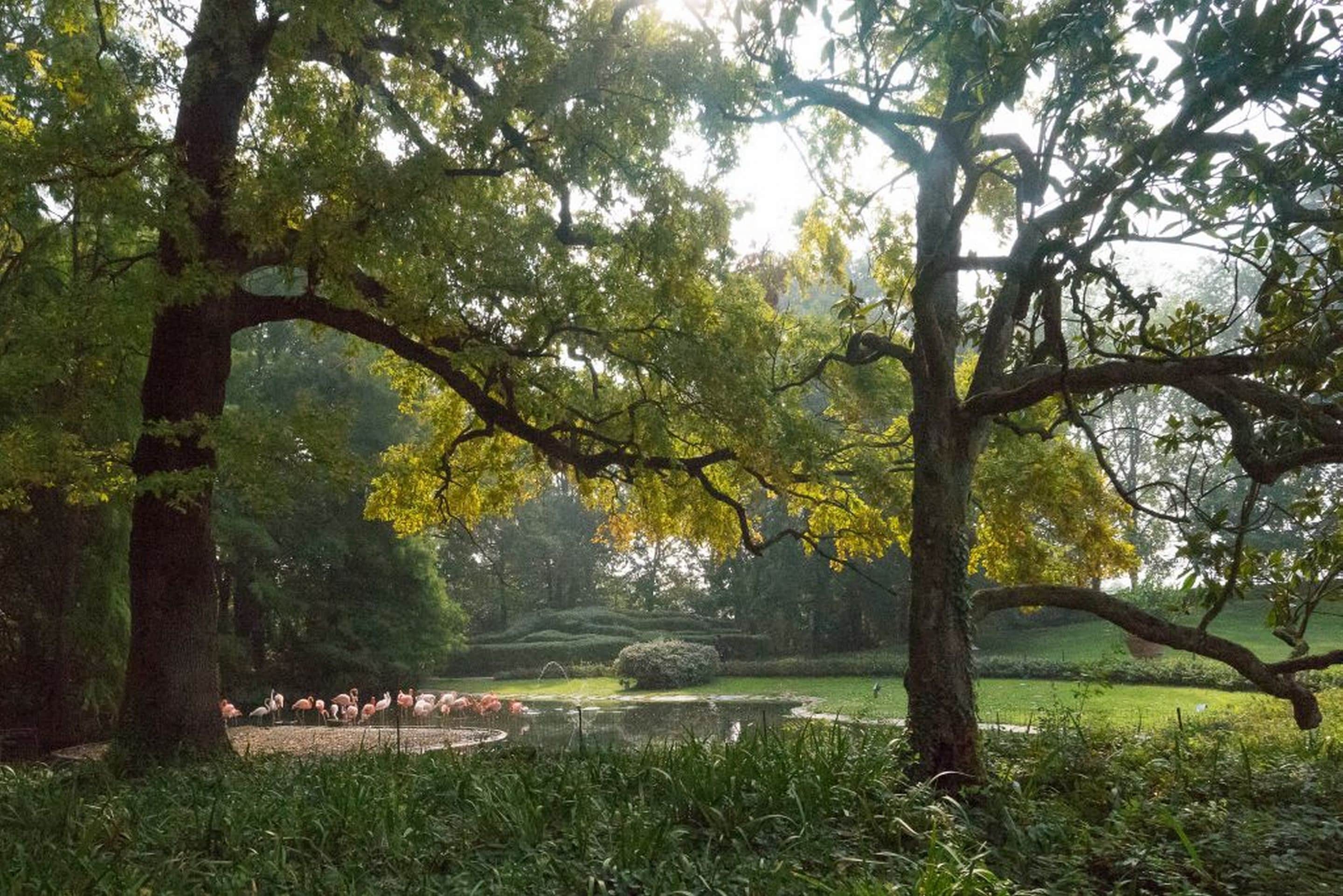outdoor wedding area