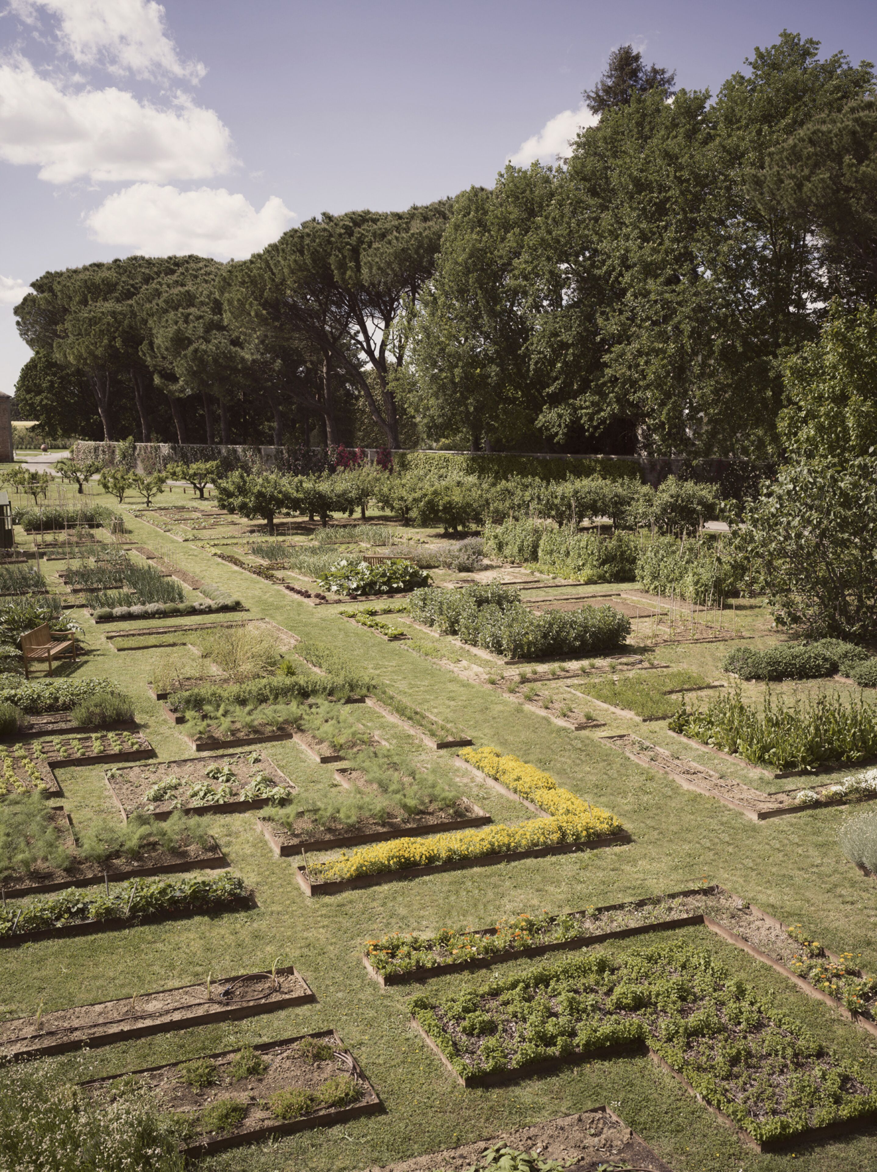 A garden with various plant beds and trees.
